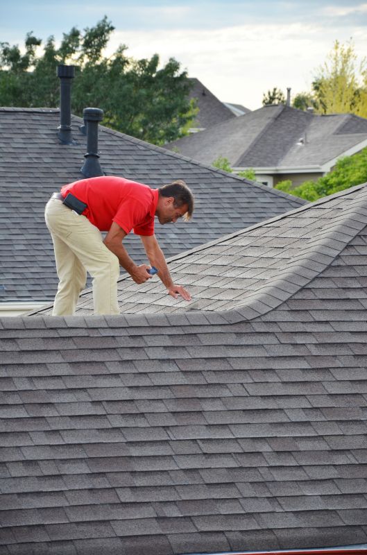 Inspecting Roof for Damage